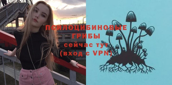 бутират Пересвет