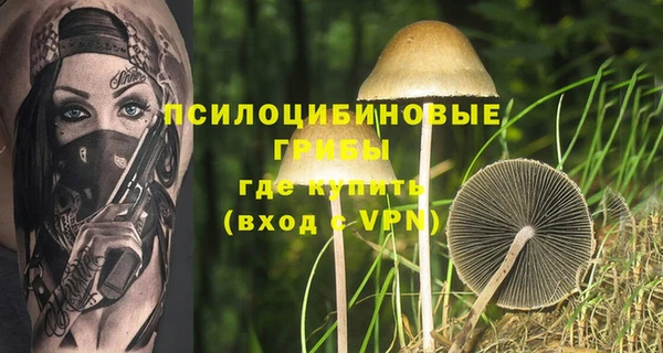 бутират Пересвет