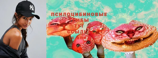 герыч Переславль-Залесский