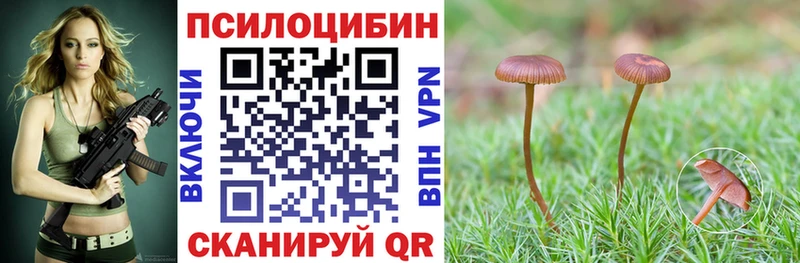 Псилоцибиновые грибы Magic Shrooms  Богучар 
