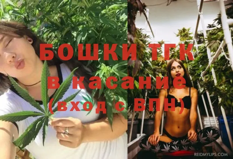 МЕГА ТОР  Богучар  Канабис SATIVA & INDICA 